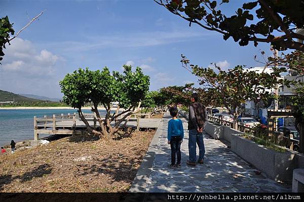 20140131 006 (Large).jpg