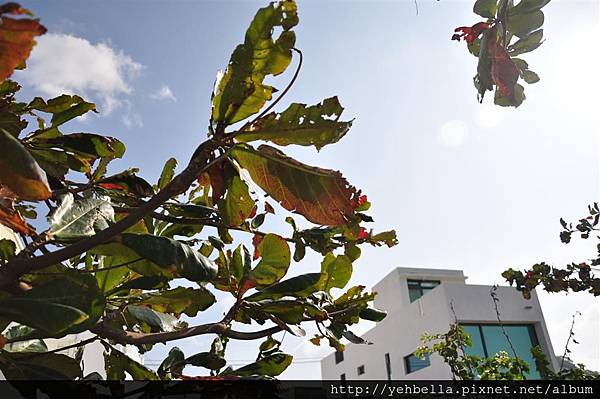 20140131 012 (Large).jpg