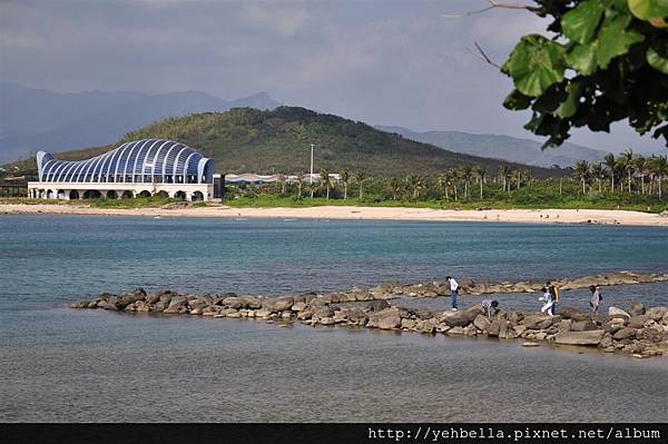 20140131 019 (Large).jpg