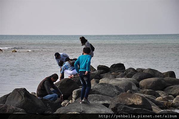 20140131 034 (Large).jpg