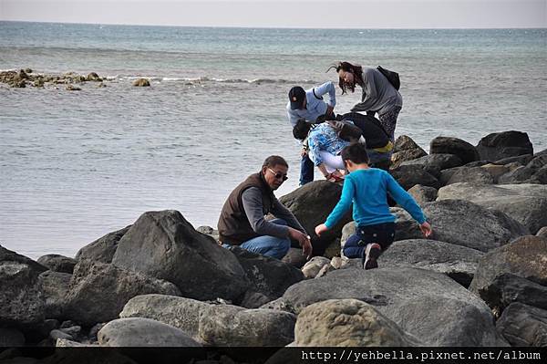 20140131 036 (Large).jpg