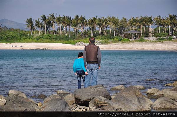 20140131 052 (Large).jpg