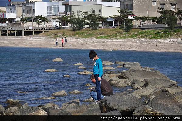 20140131 055 (Large).jpg