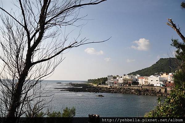 20140131 080 (Large).jpg 20140131 080 (Large).jpg