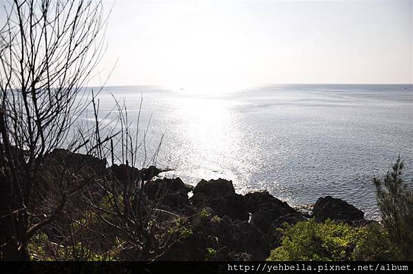 20140131 085 (Large).jpg 20140131 085 (Large).jpg