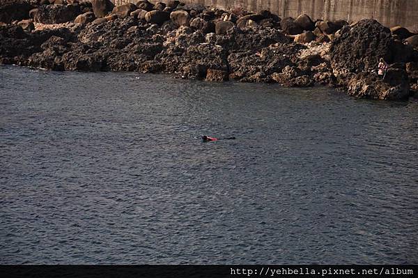 20140131 088 (Large).jpg 20140131 088 (Large).jpg