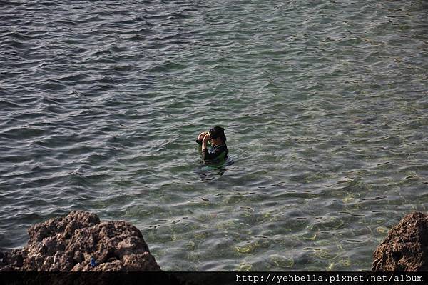 20140131 094 (Large).jpg 20140131 094 (Large).jpg