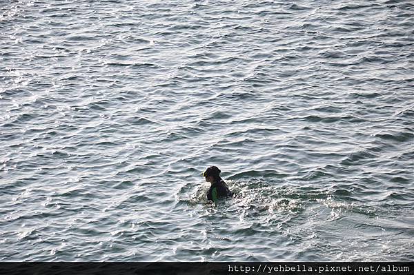 20140131 099 (Large).jpg 20140131 099 (Large).jpg