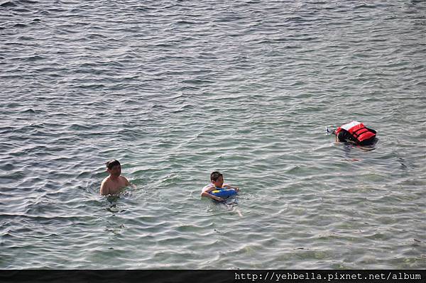 20140131 102 (Large).jpg 20140131 102 (Large).jpg