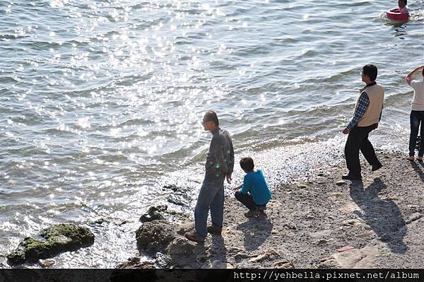 20140131 106 (Large).jpg 20140131 106 (Large).jpg