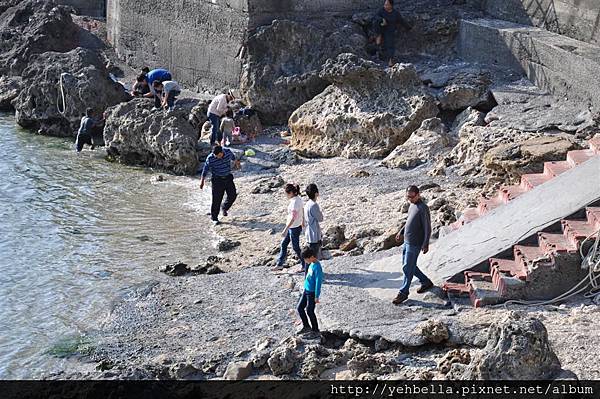 20140131 104 (Large).jpg 20140131 104 (Large).jpg