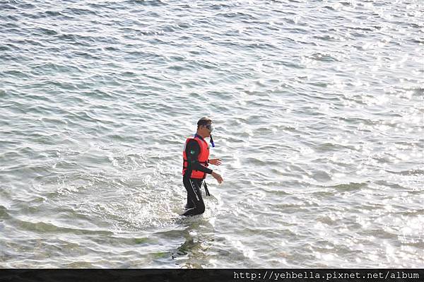 20140131 108 (Large).jpg 20140131 108 (Large).jpg