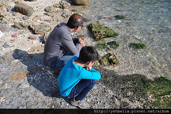 20140131 111 (Large).jpg 20140131 111 (Large).jpg