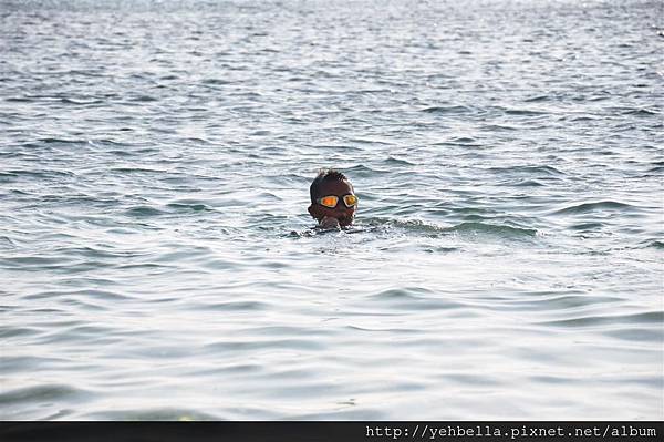 20140131 115 (Large).jpg 20140131 115 (Large).jpg