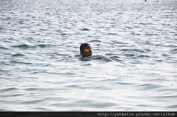 20140131 116 (Large).jpg 20140131 116 (Large).jpg