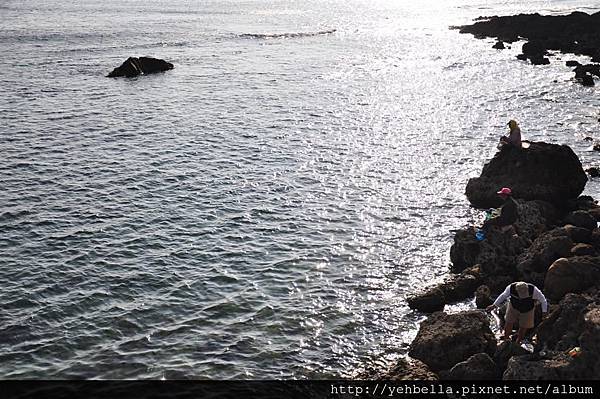 20140131 134 (Large).jpg 20140131 134 (Large).jpg