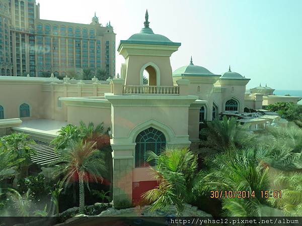 IMG_0266.JPG IMG_0266.JPG