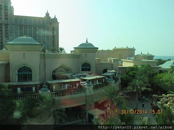 IMG_0267.JPG IMG_0267.JPG