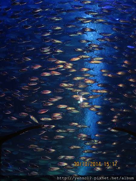 IMG_0288.JPG IMG_0288.JPG