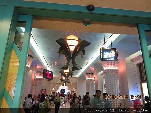 IMG_0293.JPG IMG_0293.JPG