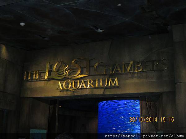 IMG_0285.JPG IMG_0285.JPG