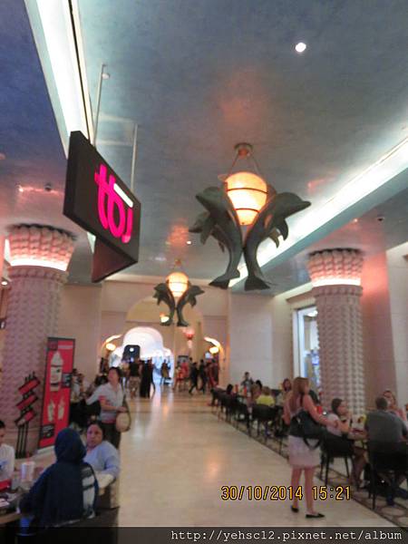 IMG_0294.JPG IMG_0294.JPG