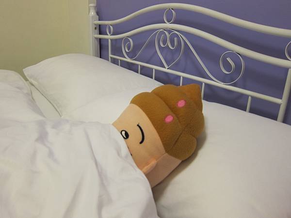 輕流浪 低價超值日租雙人套房