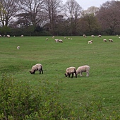 R0012172.JPG