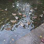 R0013650.JPG