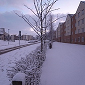R0011396.JPG