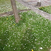 R0012204