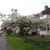 R0012205