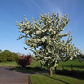 R0012349