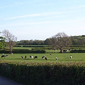 R0012346