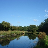 20100822 015
