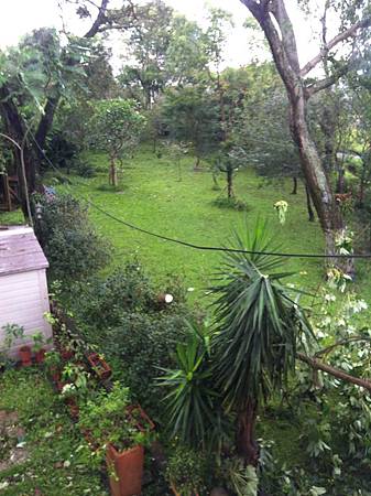 2013-07-13 14.25.31.jpg