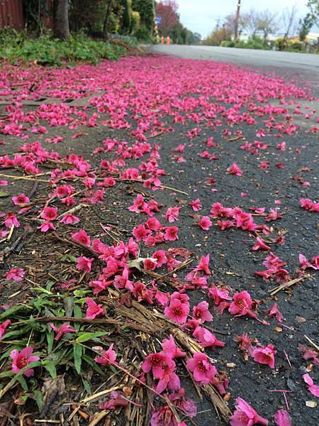 2014-02-08 17.30.00 2014-02-08 17.30.00