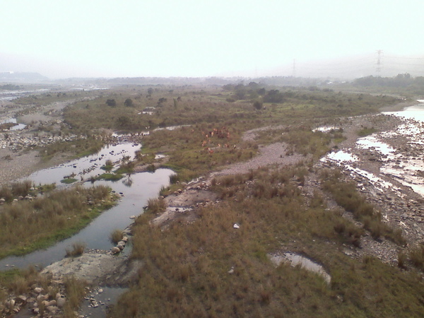 041009163851.jpg
