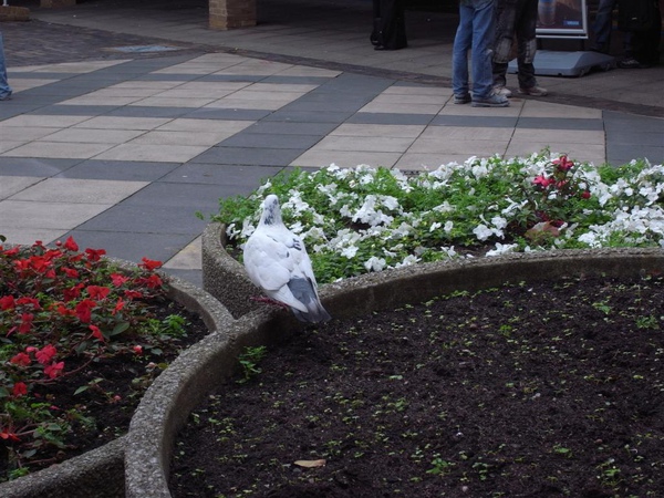 R0010621.JPG R0010621.JPG
