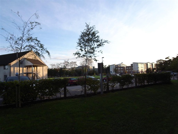 R0010630.JPG R0010630.JPG