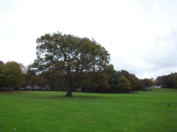 R0010836.JPG R0010836.JPG