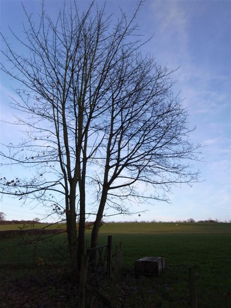R0011109.JPG