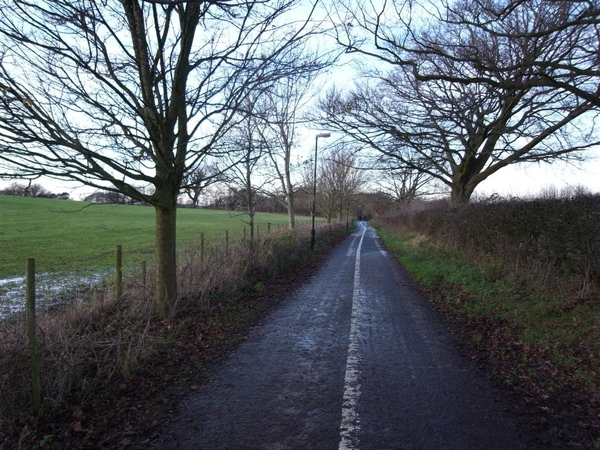 R0011122.JPG