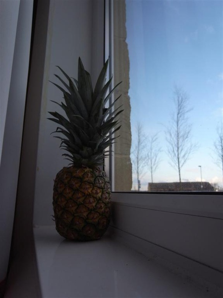 R0011214.JPG R0011214.JPG
