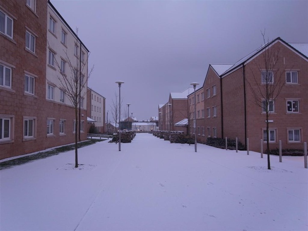 R0011238.JPG R0011238.JPG