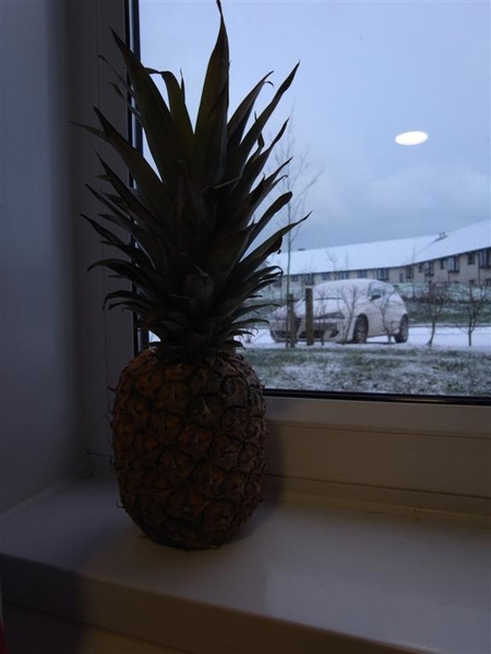 R0011267.JPG R0011267.JPG