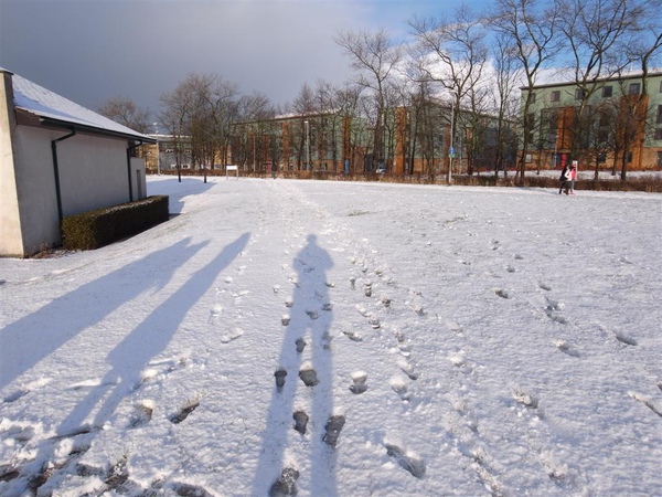 R0011371.JPG R0011371.JPG
