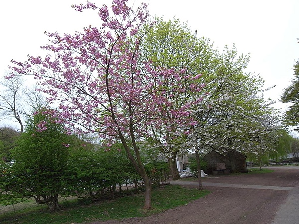 R0012224.JPG R0012224.JPG