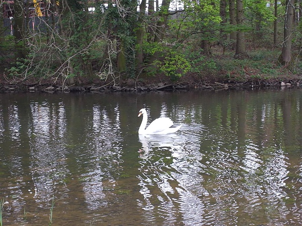 R0012234.JPG R0012234.JPG