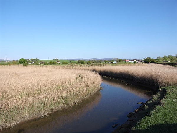 R0012337.JPG R0012337.JPG